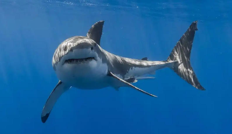 烟台合益利商贸有限公司轮播图2